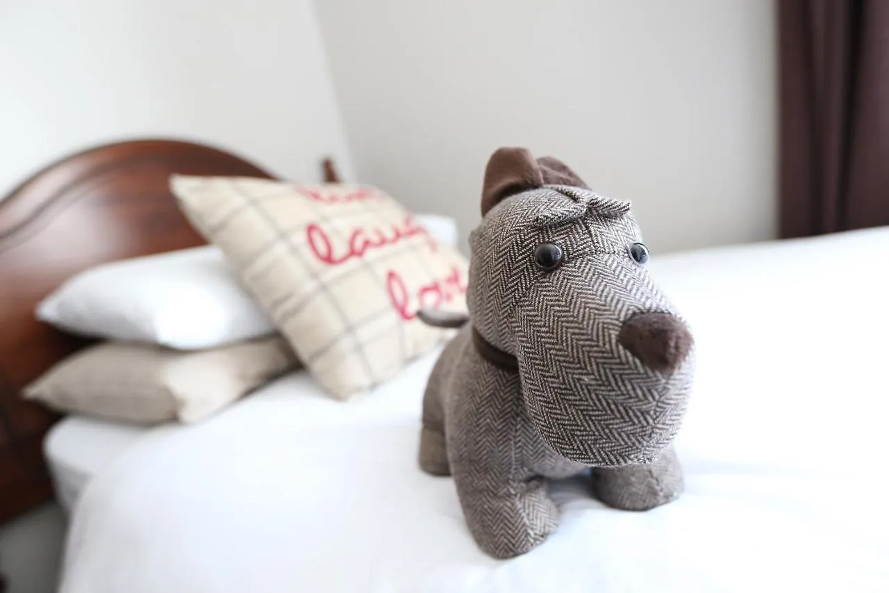 Bed & Breakfast Arranmore House Bed and Breakfast Dublin